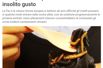 Ambiente Tiscali - Un bel gelato con larve croccanti, ecco dove poter assaporare il nuovo e insolito gusto... Myiced